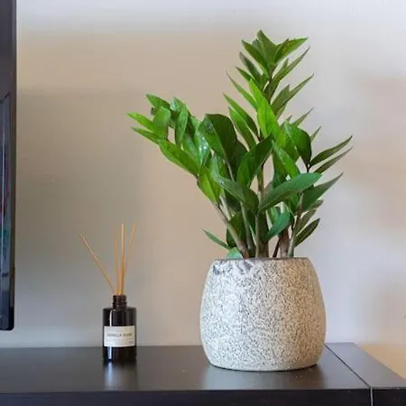 Urban Breeze Apartment *